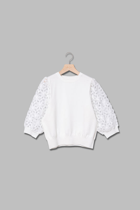 レーススリーブニットプルオーバー